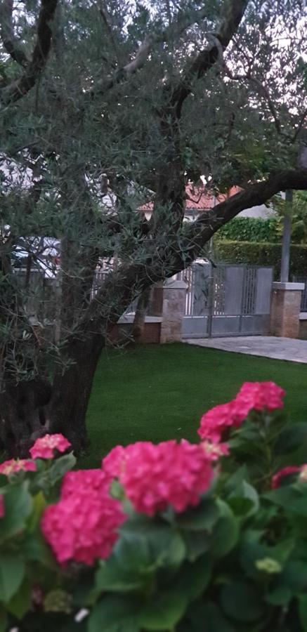 Apartments Cocaletto5 Rovinj Exterior photo